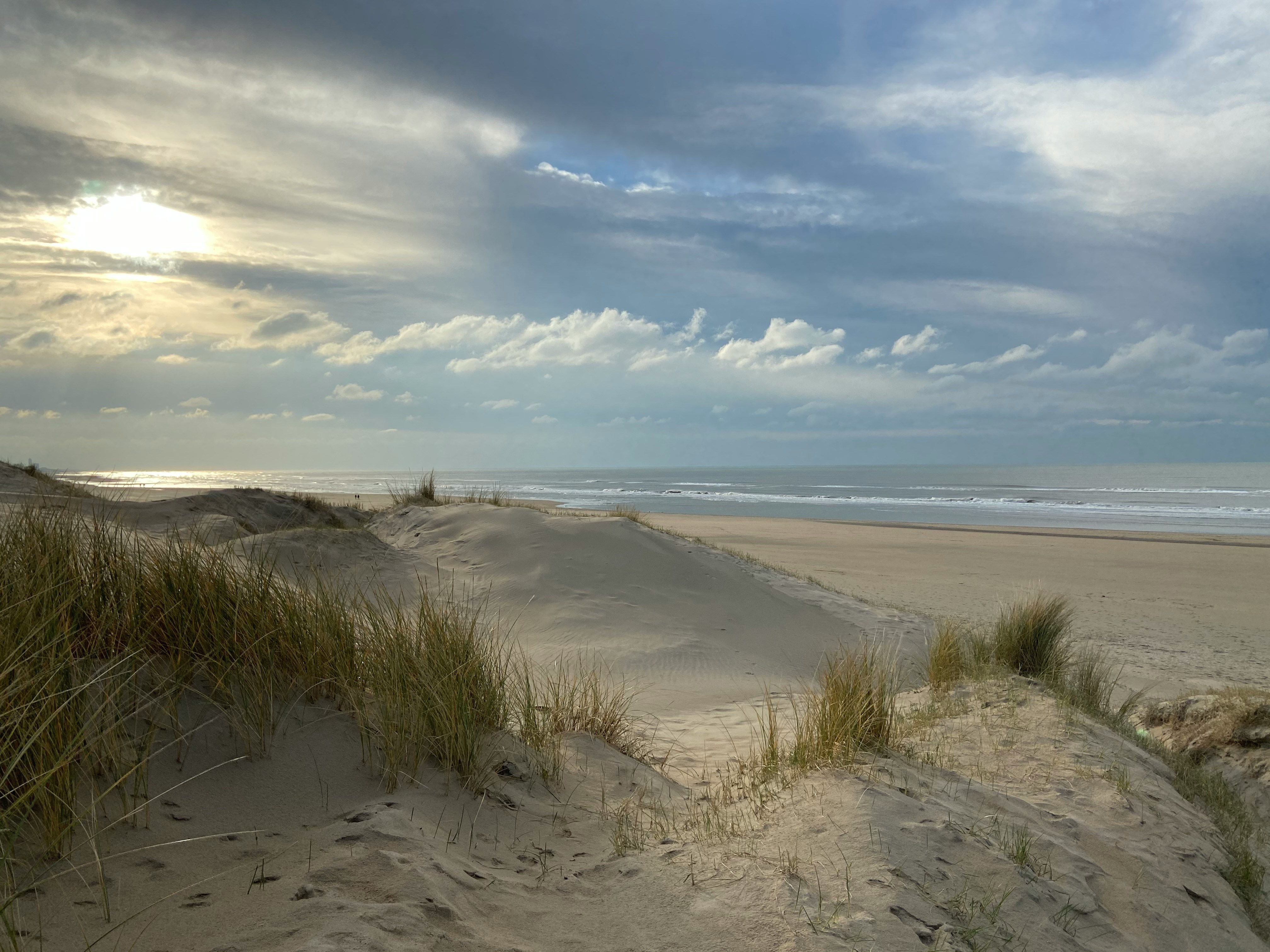 Luftaufnahme eines schönen Strandes